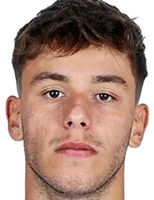 乔治·瓦贾尼迪斯头像