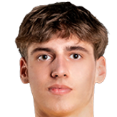 尼基塔·帕夫约诺夫斯头像