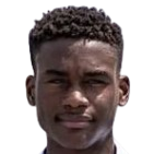 尼尔·皮埃尔头像