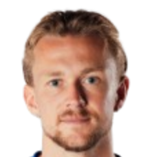 伯克·里萨头像