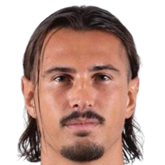 尼古拉斯·帕拉维奇尼头像