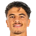 斯坦·伯卡尼头像