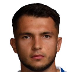 弗拉迪斯拉夫·杜宾恰克头像