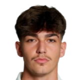 埃米尔汗·阿尔通达格头像