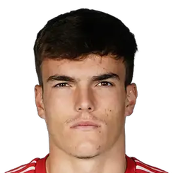 伊克尔·穆诺兹·奥尔丁头像