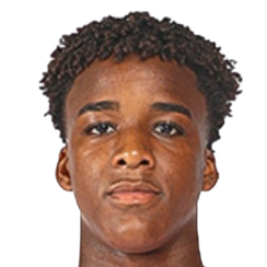 尼尔森·雅尼克·佩雷拉·塞梅多头像