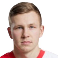 大卫·佩赫头像