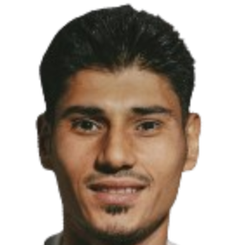 沙巴哈丁·德斯蒂奇头像