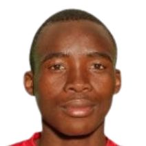 勒博冈·迪特塞勒头像