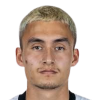 尼古拉斯·米克尔森头像