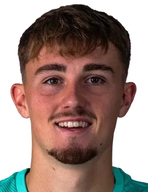 尼古拉斯·格劳斯头像