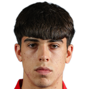 斯特拉辛亚·斯托伊科维奇头像