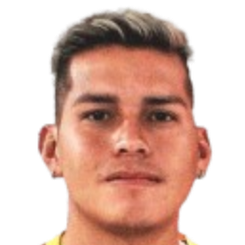 伊洪·维利加斯头像