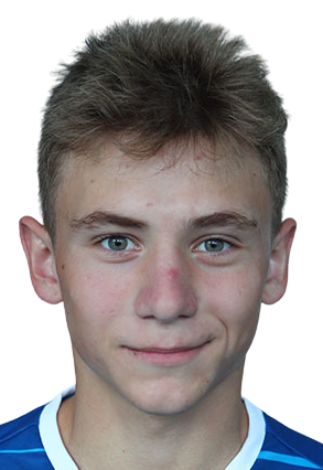 瓦西尔·坦查克头像