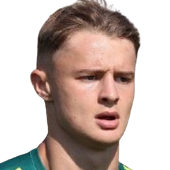 皮埃特罗·皮内利头像