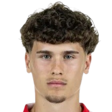 奥利弗·索尔格头像