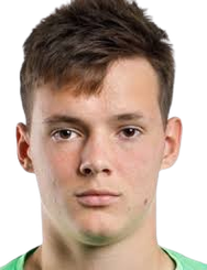 大卫·费修克头像