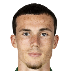 米兰·罗伯特切头像