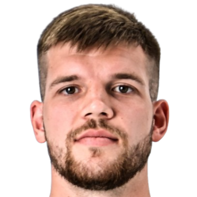 尼库莱·托尔斯托帕亚托夫头像