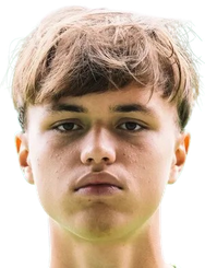 法瑞尔·亨塞尔头像