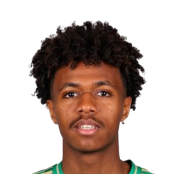 侯赛因·拉克瓦尼头像