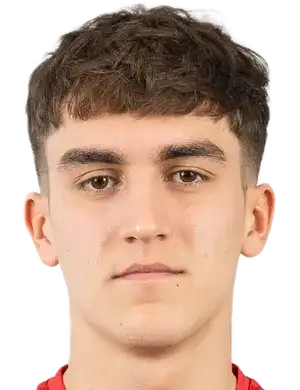 安东·卢卡绍夫头像