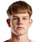 马特亚斯·梅尔瓦德头像