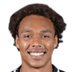 哈维尔·齐格头像