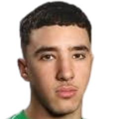 哈姆扎阿塞农头像