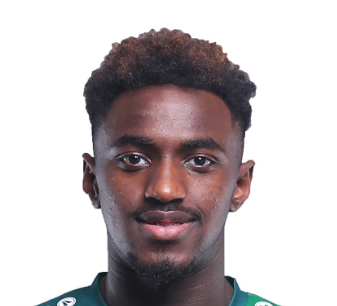 易卜拉欣·莫汉纳西头像