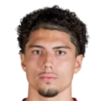 塞利姆·泰利布头像