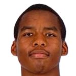 瓦西姆·斯拉马头像