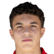 雅各布·波科尔尼头像