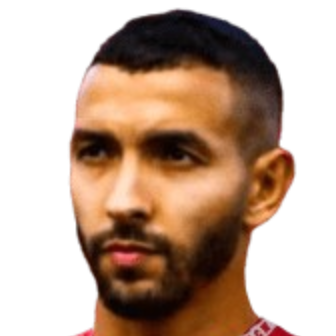 哈姆扎·法苏赫头像