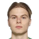 菲尔德斯泰德头像