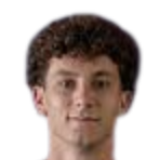 伊戈尔·阿梅里吉头像