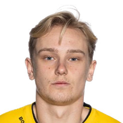 卡斯帕·埃斯基尔·英格瓦·贝恩特松头像