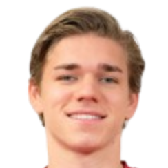 梅斯·里克斯头像