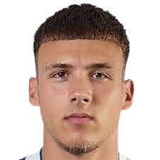 洛伊克·莱斯皮纳塞头像