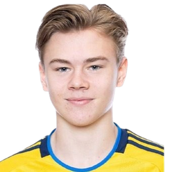 查理·尼尔登头像