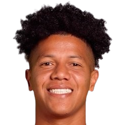 詹·卡洛斯·梅纳·希内斯特罗萨头像