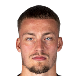 戴维·范登伯格头像