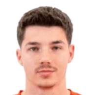 阿尔丁·梅希奇头像