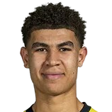 乔迪·保利纳头像