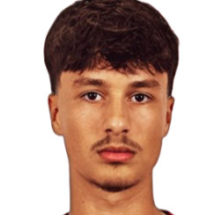 特里斯坦·哈维·阿拉尔特头像