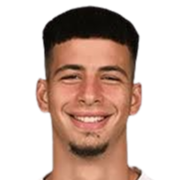 维多耶维奇头像