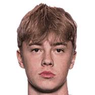 尼克拉斯·富格莱斯塔头像