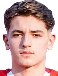 埃尔布林·萨迪卡伊头像