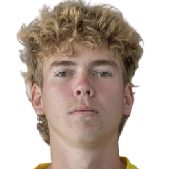 大卫·马图塞克头像