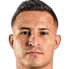 罗迪·费雷拉头像